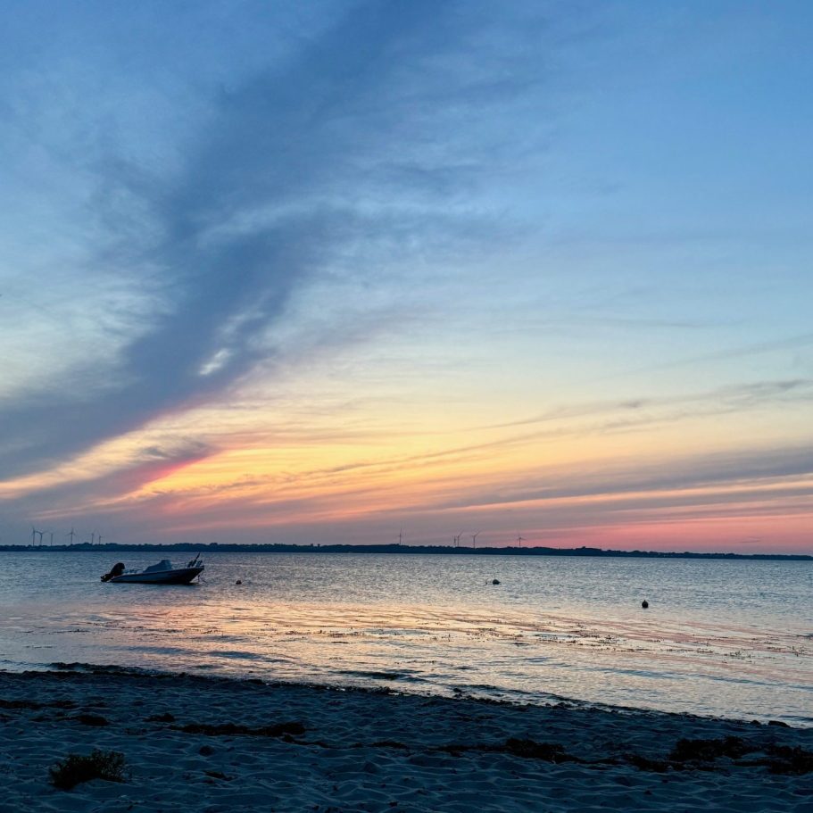 Zwei Tassen Tee auf einem bunten Tisch mit Früchten und frischen Kräutern.